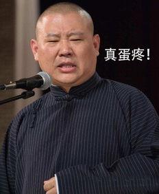 大王爆料郭德纲视频全集,大王爆料视频全集深度解析  第1张